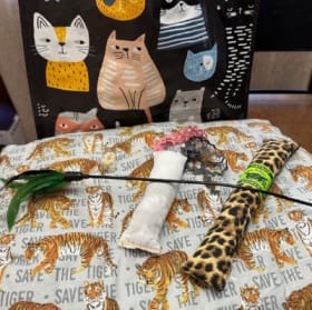 Cat Bag with goodies item