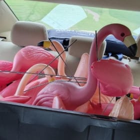 September 15-21 item