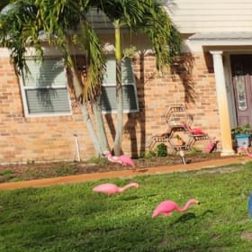 October 27-November 2 item