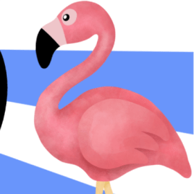 February 23-March 1 item