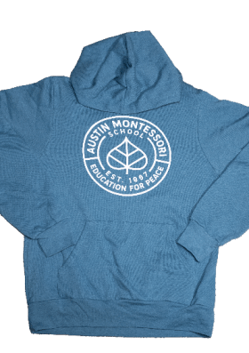 AMS Logo Adult Hoodie, Teal item