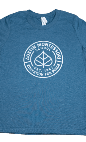 AMS Logo Youth T-Shirt, Heather Teal item