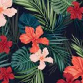 Copa Cabana Level item