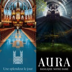 LOT #31 - AURA - 100$ item