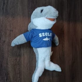 Pre-Stuffed Shark item
