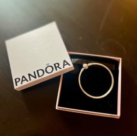 Pandora Charm Bracelet item