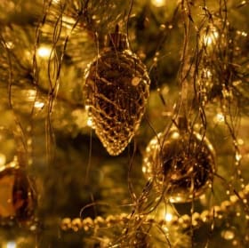 Concert Video: A Festive Celebration item