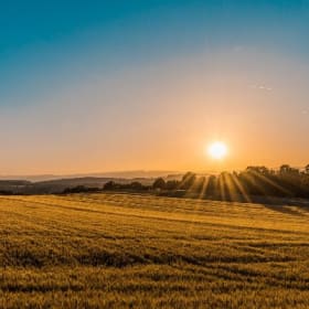 Concert Video: Considering Matthew Shepard item
