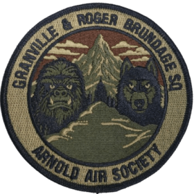 Brundage Squadron Patch item
