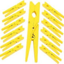 Clothes Pins (5) item