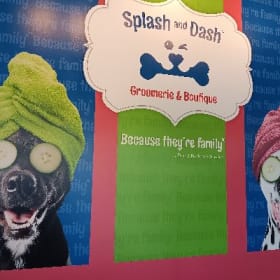 19. #1 Splash and Dash Groomerie & Boutique - 1 grooming! item