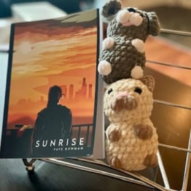 Novel and Plush Toys (Baileys Boutique) item