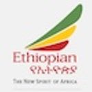 One Round Trip Economy Airline Ticket item