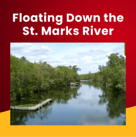 Floating Down the St. Marks River item