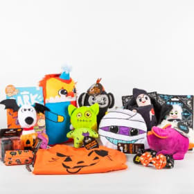 Trick or Treat Gift Basket for Dogs item