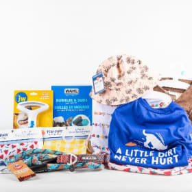 "Best Dressed" Dog Basket item