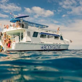 Body Glove Deluxe Snorkel and Dolphin Watch for 2 people item