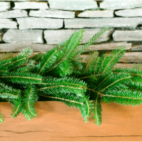 Fraser Fir garland 15 feet item