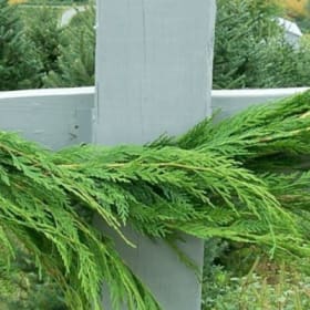 Cypress garland 15 feet item