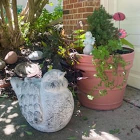 For The Wild Birds item