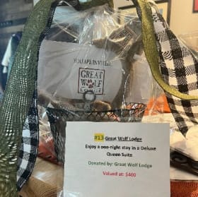 #13 One-night stay at Great Wolf Lodge item