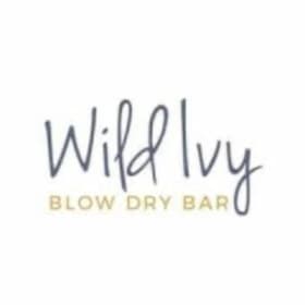 Wild Ivy Blowdry Bar Basket (Value: $100) item