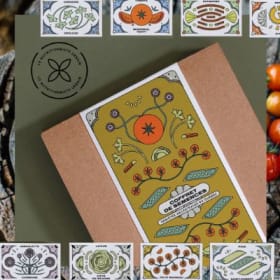 Coffret de semences - Le Nutritionniste Urbain item