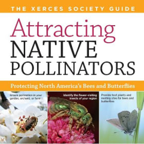 #37 - A Passion for Pollinators item