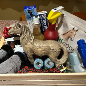 Equestrian Starter Kit item