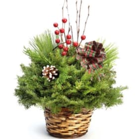 Holiday Centerpiece item