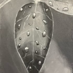 Dew-Covered Leaves (B&W) item