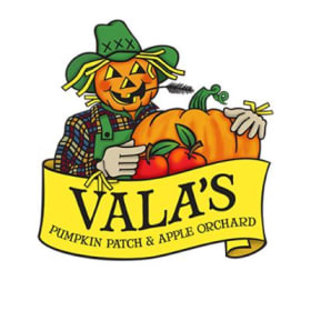 Vala's Pumpkin Patch item