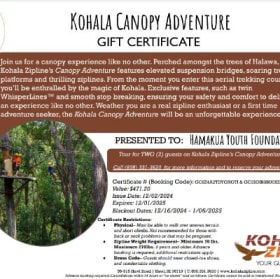 Kohala Zipline Canopy Adventure for 2 people ($472 Value) item