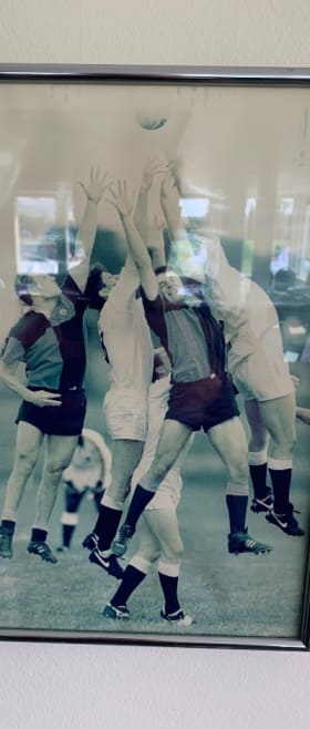 Fletcher's Fields 1993 Framed Photo item