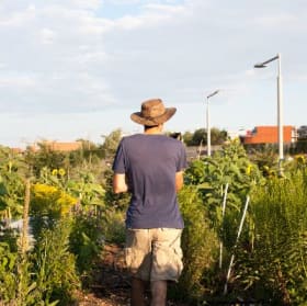 Jardinage collectif (en solo) item