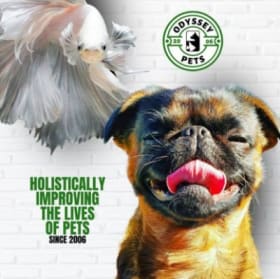 Odyssey Pets $50 Gift Card item