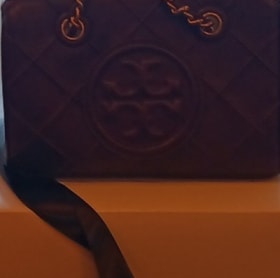 Tory Burch Purse item