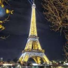 4 Night Paris Luxury Hotel Package (Value: $1067) item