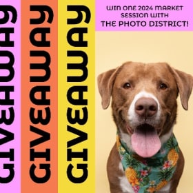 One market photo session from The Photo District item