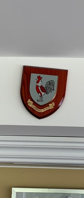 Dorking RFC Tour Shield item
