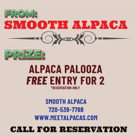 Smooth Alpaca for 2 item