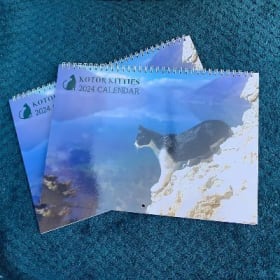 2024 Kotor Kitties Calendar (English/US) item