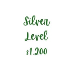 Silver Level item