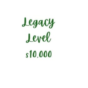 Legacy Level item