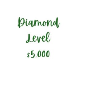Diamond Level item