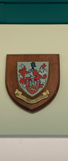 Rhyddid Tour Shield item