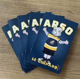 Livre - ARSO le guépard item