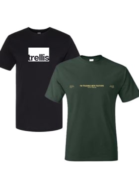 T-shirt Grab Bag item