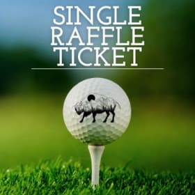 Single Raffle Ticket item