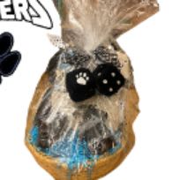 Regina Panthers! item